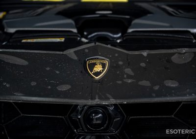 Lamborghini Urus Satin PPF Wrap 16
