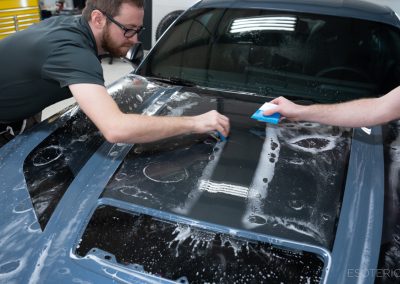 Mustang dark horse paint protection film